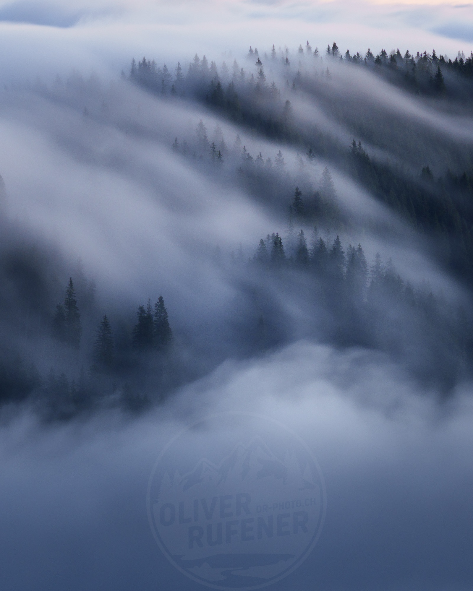 Wald im Nebel