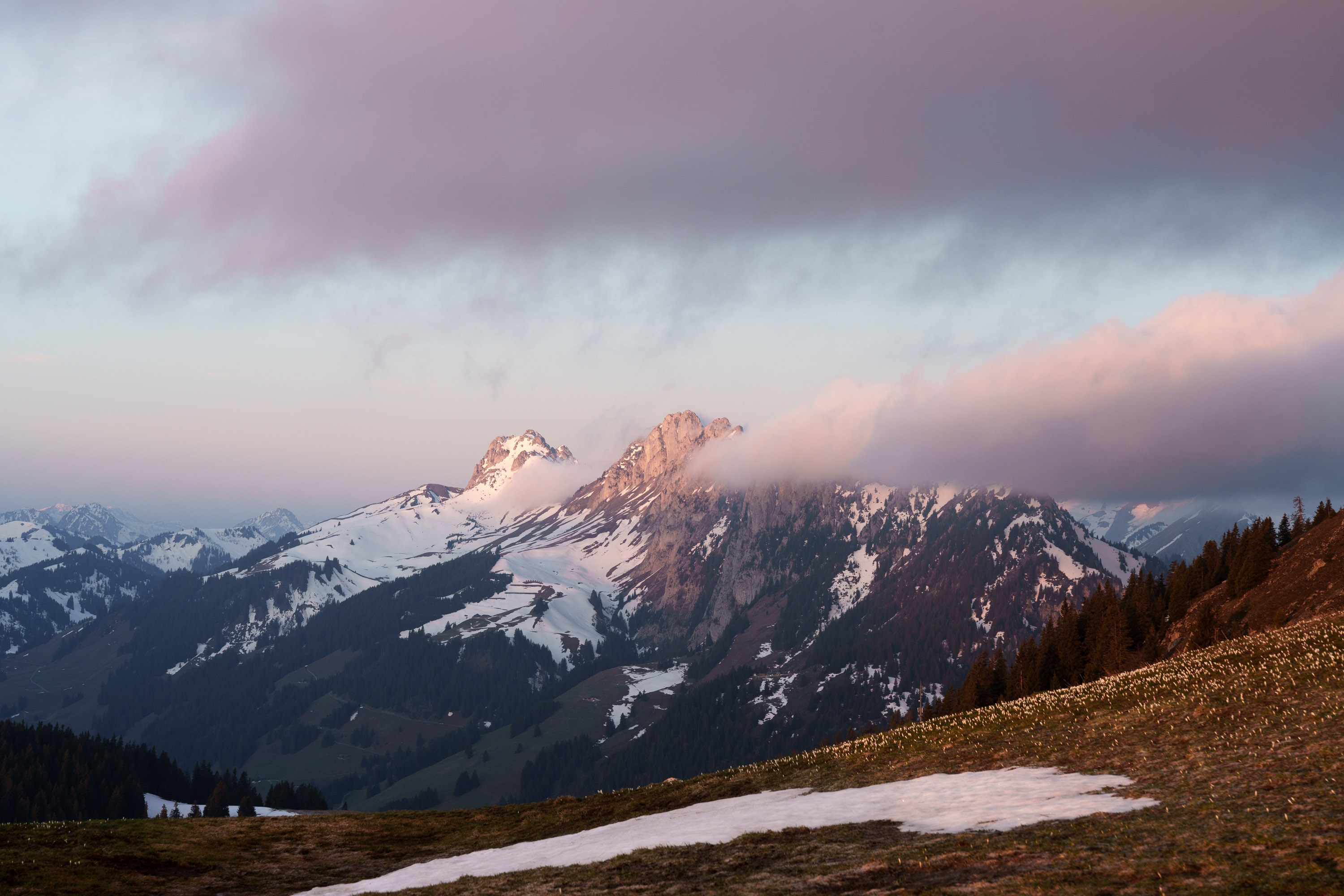 Gipfeltour Schweiz Bergfotografie Frühling Wandern ohne Schnee Fotograf Schweiz Blog Sony A7 IV Bergtour Frühling in den Bergen Nebelstimmung Berge Wanderung 2026