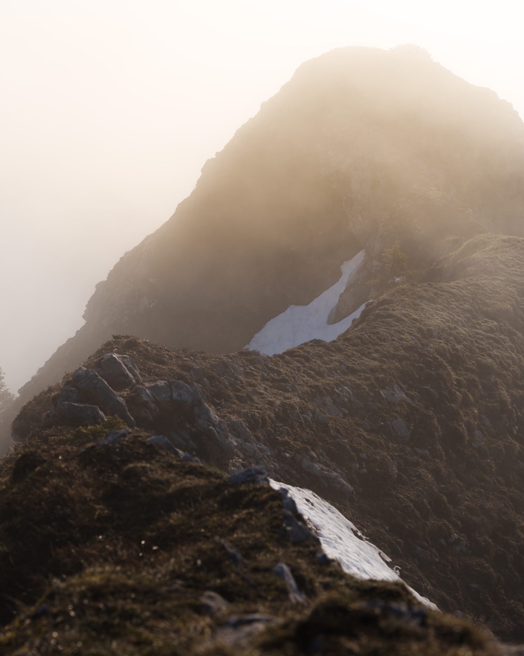 Bäderhorn, Jaunpass, Gipfeltour Schweiz Bergfotografie Frühling Wandern ohne Schnee Fotograf Schweiz Blog Sony A7 IV Bergtour Frühling in den Bergen Nebelstimmung Berge Wanderung 2026