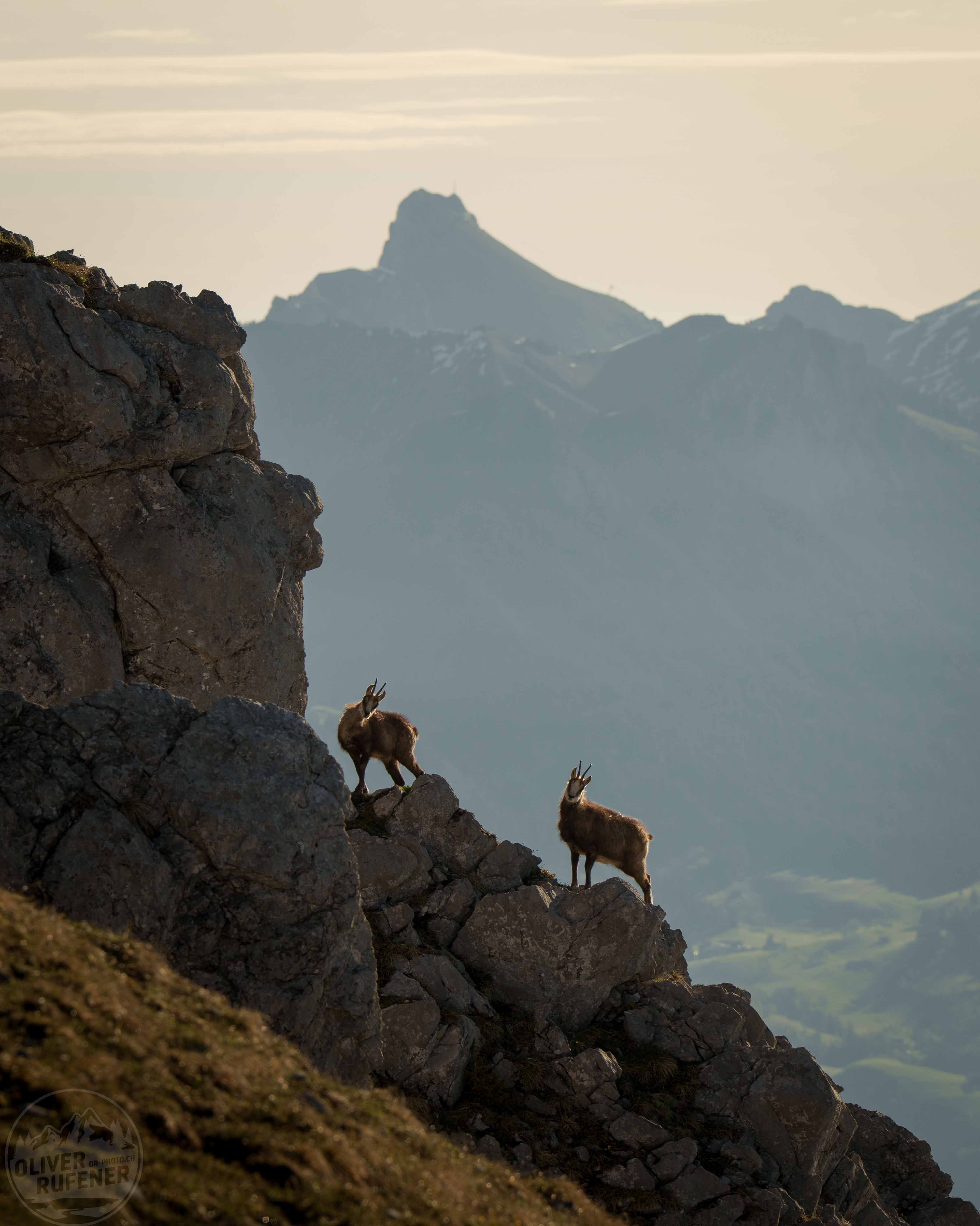 Sonnenaufgang mit Eiger und Mönch.
