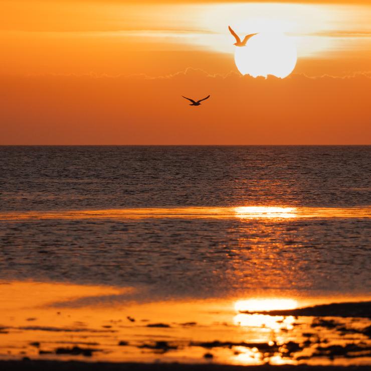 Sonnenaufgang am Meer