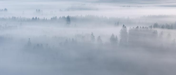 Mystischer Morgen